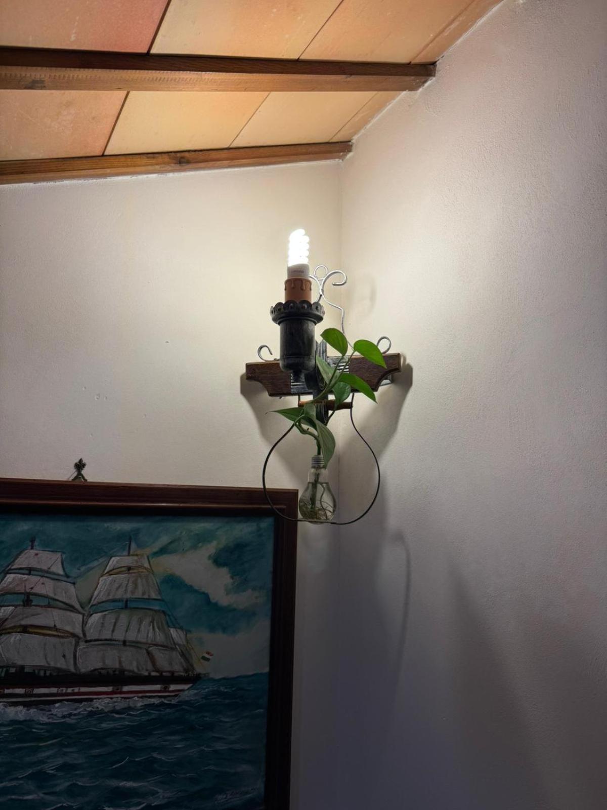 B&B Le Macine 1868 Пачеко Екстериор снимка